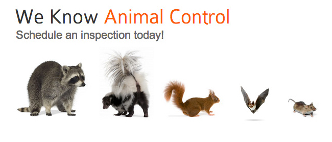 1 Critter Control FranchiseSkedaddle Humane Wildlife Control